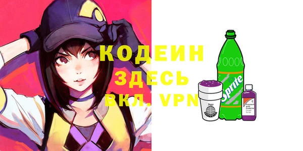 индика Арсеньев