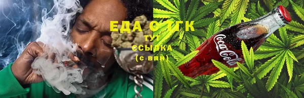 индика Арсеньев