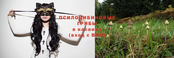 амфетамин Алексеевка